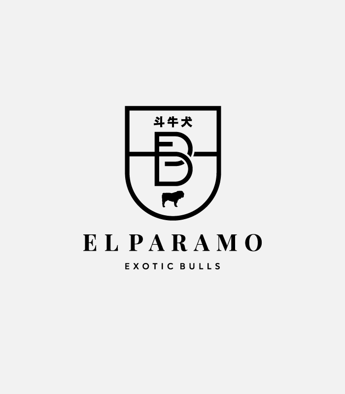 logo El Páramo Bulls