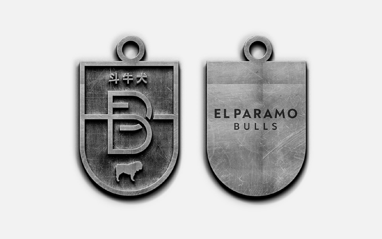 medalla paramo frente y dorso