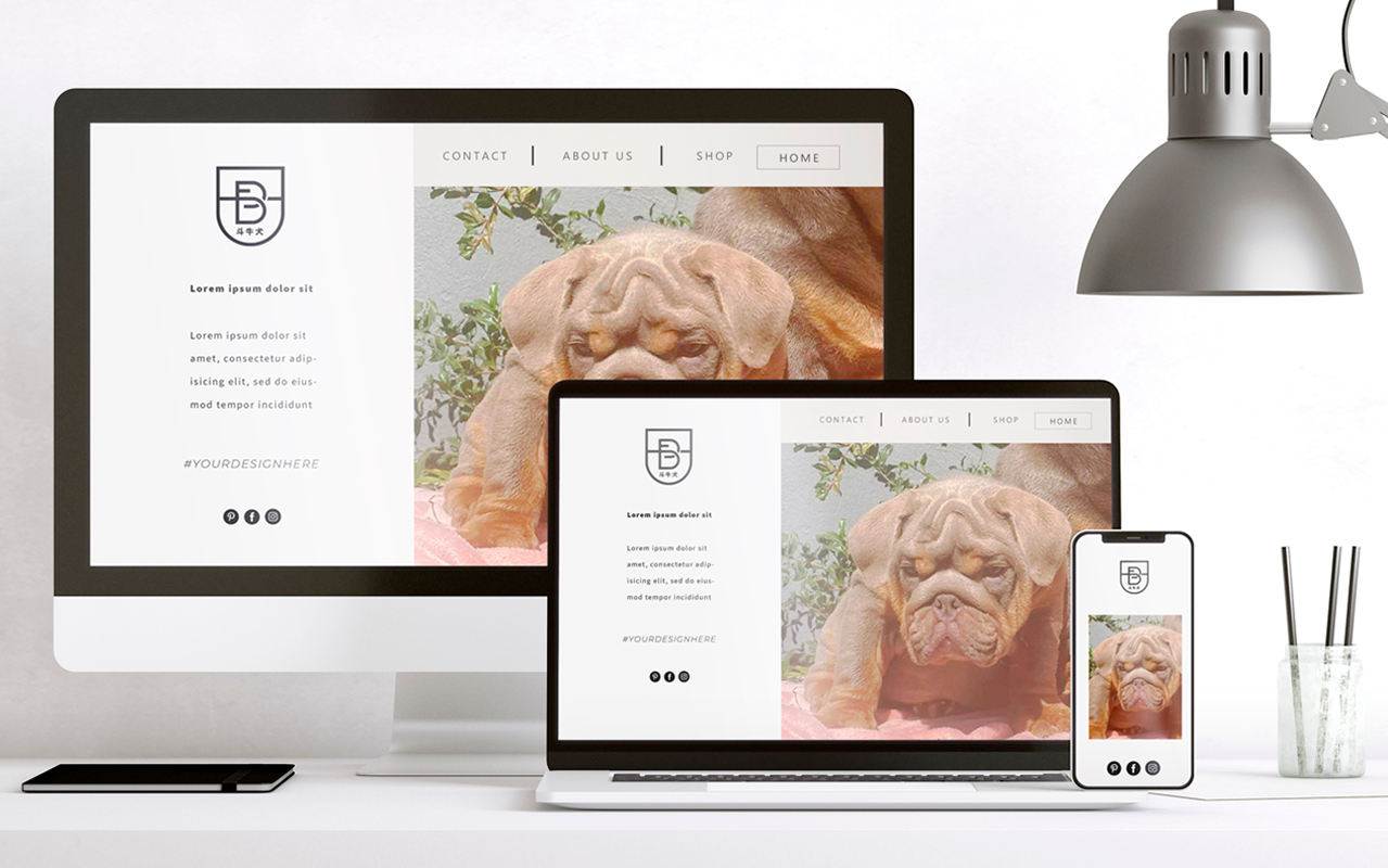 responsive web paramo