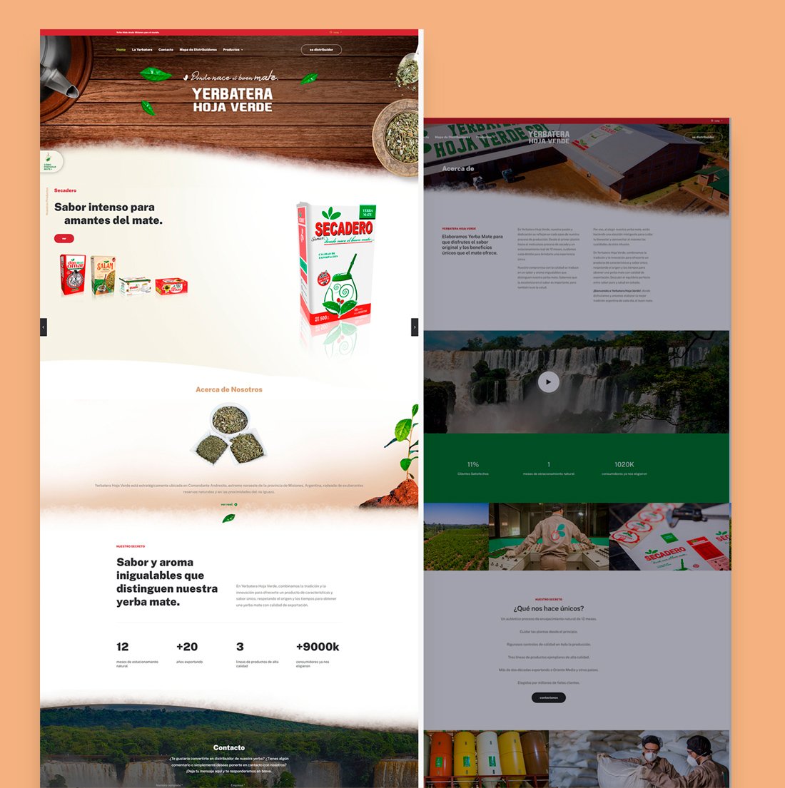 yerbatera homepage y diseño ux/ui